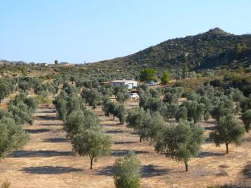 Finca in Maella (Aragon, Spanje) - 1025