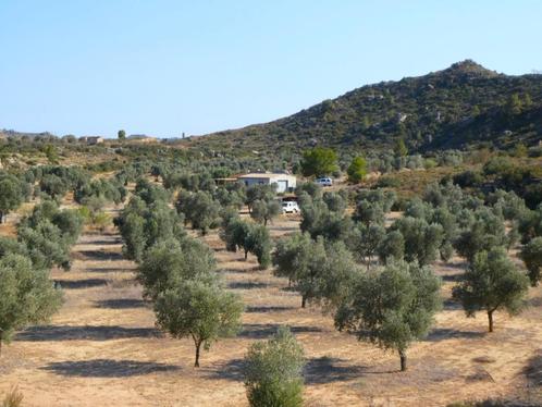 Finca à Maella (Aragon, Espagne) - 1025, Immo, Étranger, Espagne, Maison d'habitation, Campagne