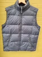 Dikke warme winter bodywarmer merk Tommy Hilfiger, L..als ni, Kleding | Heren, Bodywarmers, Ophalen of Verzenden, Zo goed als nieuw