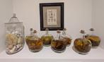 Decoratieve glazen flessen met kruiden/bladeren op alcohol, Ophalen