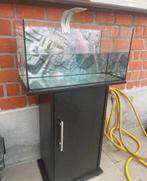 Aqurium 60lt., Dieren en Toebehoren, Ophalen, Zo goed als nieuw