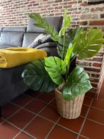 Kamerplant kunstmatig - Monstera, Huis en Inrichting, Kamerplanten, Ophalen, Minder dan 100 cm