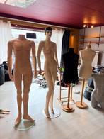Série de mannequins, Enlèvement
