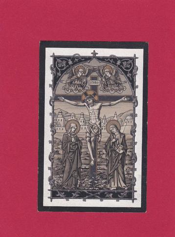 DP Jan Frans Vincent Van Der Elst beschikbaar voor biedingen