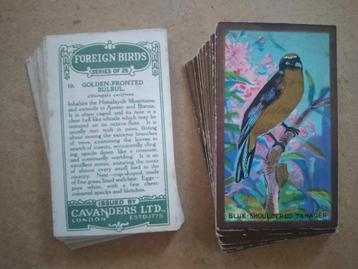 Foreign Birds complete set 25 chromos vogels 1926 Cavanders beschikbaar voor biedingen