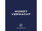 Opel Vivaro VAN L3 2.0 turbo D MT6 145PK, Monovolume, Vivaro, 145 pk, Grijs