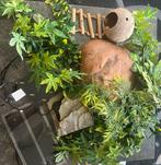Accessoires terrarium, Dieren en Toebehoren, Ophalen, Gebruikt, Terrarium of Paludarium
