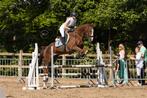 Stalling(en) Aangeboden, Stalling, 4 paarden of pony's of meer