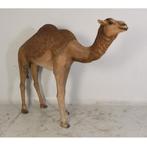 Dromedary Camel – Dromedaris beeld Lengte 250 cm, Verzamelen, Dierenverzamelingen, Nieuw, Ophalen of Verzenden