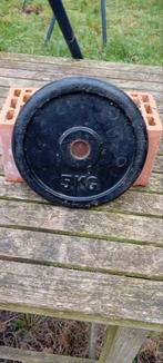 Gietijzeren Halter schijven 5kg en 7,5kg, Sport en Fitness, Ophalen