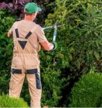 Tuinmannen beschikbaar in onderaanneming, Vanaf 3 jaar, Overige vormen, Overige uren