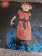 carnaval kleding, Kinderen en Baby's, Ophalen, Zo goed als nieuw, 104 of kleiner, Meisje