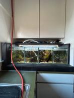Kweekstelling aquarium, Ophalen, Gebruikt