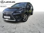 Lexus NX 300H Executive, Hybride Électrique/Essence, Noir, Automatique, Achat