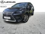 Lexus NX 300H Executive, Auto's, Automaat, 114 kW, Euro 6, 2494 cc