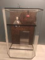 Terrarium, Ophalen, Zo goed als nieuw, Terrarium of Paludarium