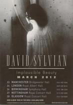 DAVID SYLVIAN - " IMPLAUSIBLE BEAUTY " UK TOUR PROMO FLYER, Verzamelen, Verzenden, Nieuw, Overige typen