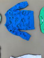 blauwe pull, trui met dinos 12m 80cm, Enfants & Bébés, Vêtements de bébé | Taille 80, Enlèvement, Comme neuf