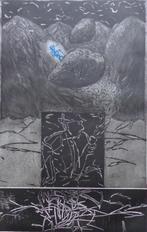 ALBERT DANIELS / KUNSTMAP 3x3 / KLEURETS / 65x50cm SIG, Antiek en Kunst, Kunst | Litho's en Zeefdrukken, Ophalen of Verzenden