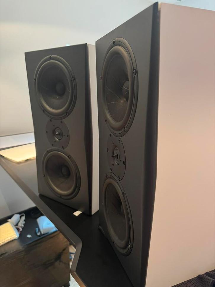 TRIAD - Gold Monitor, Audio, Tv en Foto, Luidsprekerboxen, Zo goed als nieuw, Ophalen