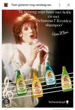 Gezocht deze schampoo, Collections, Marques & Objets publicitaires, Enlèvement ou Envoi