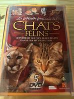 Coffret livre 5 dvd chat lion, tigre guépard, Boeken, Dieren en Huisdieren, Ophalen of Verzenden, Zo goed als nieuw, Katten