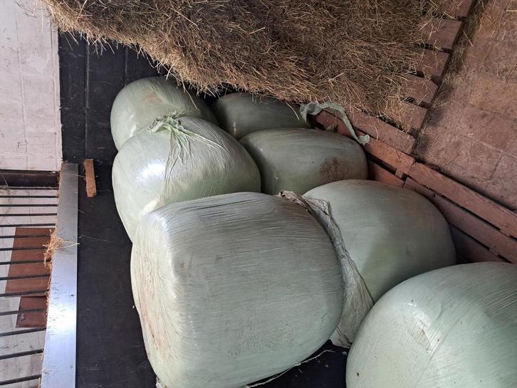 Mini en midi balen mais bietenpulp bierdraf, Dieren en Toebehoren, Dierenvoeding, Ophalen