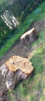 Brandhout en stam om te zagen, Tuin en Terras, Brandhout, Ophalen