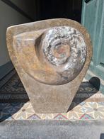 FOSSIELEN ammonite, Ophalen of Verzenden