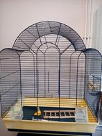 Grande Cage d'oiseaux, Animaux & Accessoires, Oiseaux | Cages & Volières, Enlèvement, Utilisé, Métal, Cage à oiseaux
