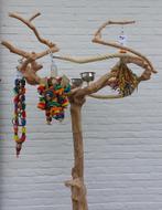 jouets pour perroquets arbre à perroquets arbre java, Animaux & Accessoires, Oiseaux | Perruches & Perroquets