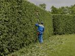 Tuinonderhoud, Vacatures, Vacatures | Landbouw, Natuur en Milieu