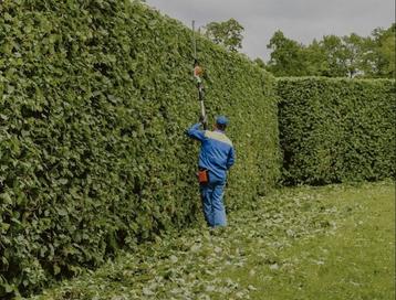 Tuinonderhoud beschikbaar voor biedingen