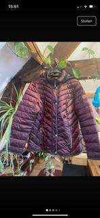 Nieuwe donsjas, Kleding | Dames, Jassen | Winter, Paars, Maat 42/44 (L), Nieuw, Ophalen of Verzenden