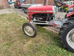 Massey Ferguson geen 35 maar een tef 20, Zakelijke goederen, Ophalen, Oldtimer, Massey Ferguson