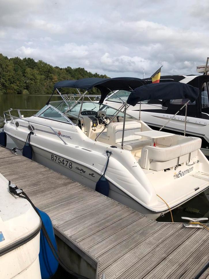 Sea ray 250 sundancer, Watersport en Boten, Speedboten, Gebruikt, 6 meter of meer, Benzine, 200 pk of meer, Polyester, Binnenboordmotor
