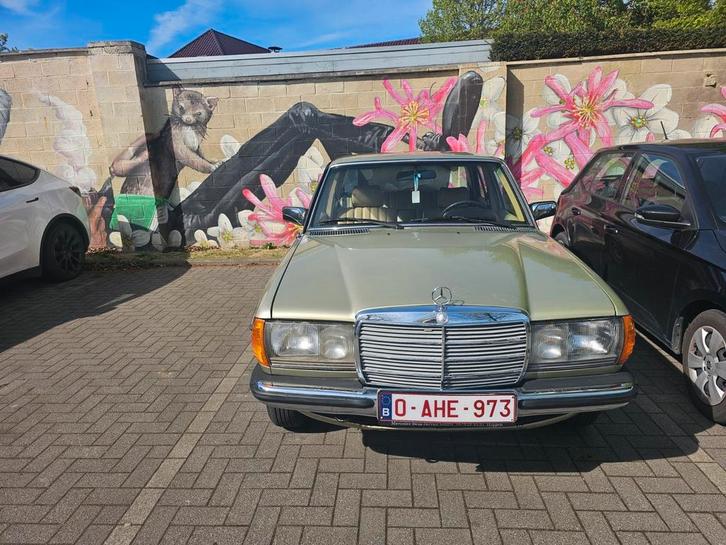 W123 230E, Auto's, Mercedes-Benz, Particulier, Ophalen