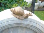 statue d un escargot de rebord en bronze taille naturel ., Jardin & Terrasse, Animal, Autres matériaux, Enlèvement ou Envoi, Neuf