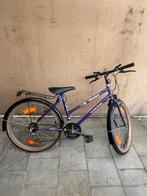 Meisjes fiets minerva 20" wielen, Fietsen en Brommers, Ophalen, Zo goed als nieuw