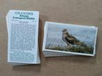 Britain's Endangered Wildlife complete set 32 chromos 1984, Enlèvement ou Envoi, 1980 à nos jours, Nature, Photo