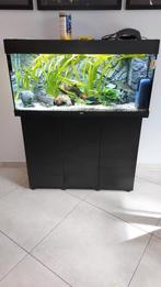 Aquarium (kast) juwel 180l, Dieren en Toebehoren, Vissen | Aquaria en Toebehoren, Ophalen, Zo goed als nieuw, Gevuld zoetwateraquarium