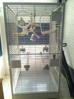 cage a perroquet, Animaux & Accessoires, Oiseaux | Cages & Volières, Comme neuf, Enlèvement, Métal, Cage à oiseaux