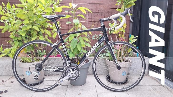 RACEFIETS GIANT Defy FIETS TOPSTAAT KOERSFIETS MEDIUM LARGE, Fietsen en Brommers, Fietsen | Racefietsen, Gebruikt, Heren, Giant