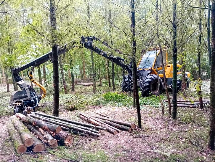 Abatteuse ebrancheuse, Articles professionnels, Articles professionnels Autre, Enlèvement