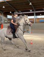Knappe 9j ruin, Ruin