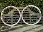 Campagnolo Shamal wielset NIEUW., Fietsen en Brommers, Ophalen, Nieuw, Racefiets, Wiel