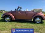 Volkswagen Kever Champagne Ed. cabriolet | Route 66 Auctions, Auto's, Lederen bekleding, Bruin, Volkswagen, Leder