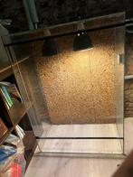 Terrarium, Dieren en Toebehoren, Reptielen en Amfibieën | Toebehoren, Ophalen, Gebruikt