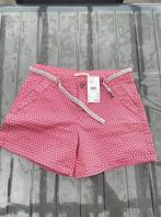 Short Camaïeu S, Kleding | Dames, Overige Dameskleding, Camaieu, Ophalen of Verzenden, Nieuw