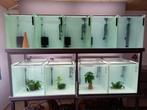 batterie aquarium, Dieren en Toebehoren, Ophalen, Zo goed als nieuw, Leeg aquarium